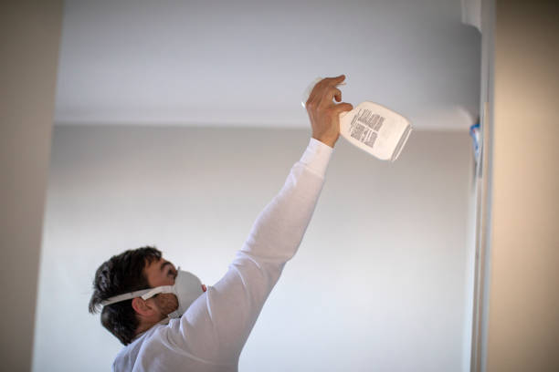 Best Mold Inspection  in Smithfield, UT