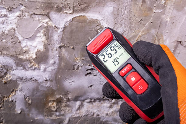 Best Mold Testing  in Smithfield, UT