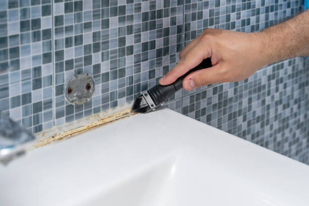Best Black Mold Removal  in Smithfield, UT